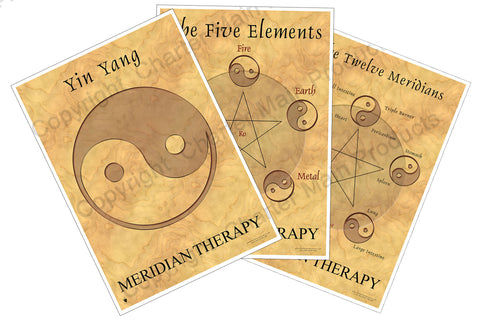 The Philosophy Series-Meridian Therapy-The Five Elements-Yin Yang-The Twelve Meridians