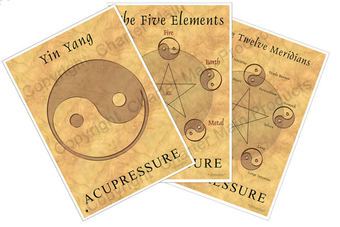 The Philosophy Series-Acupressure-The Five Elements-Yin Yang-The Twelve Meridians