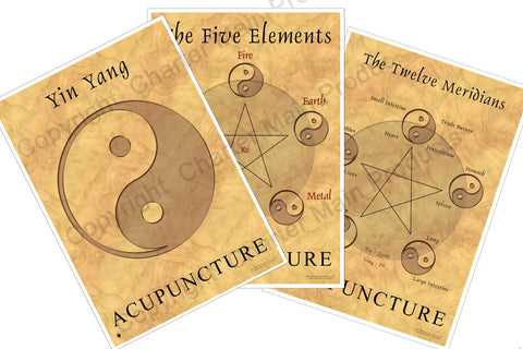 The Philosophy Series-Acupuncture-The Five Elements-Yin Yang-The Twelve Meridians