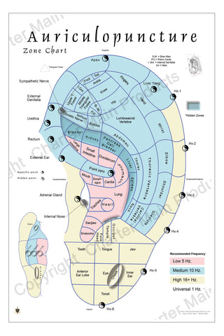 Auriculopuncture Ear Poster-mapping a micro-system of TCM-color coded for use with certain electronic devices