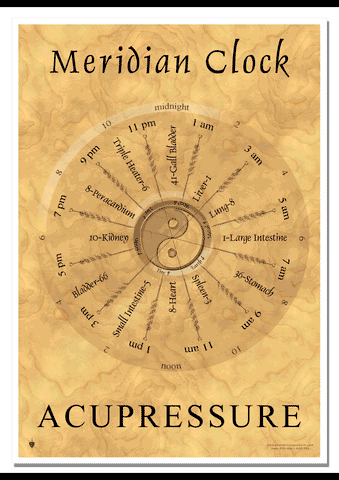 Meridian Clock (Acupressure) Poster
