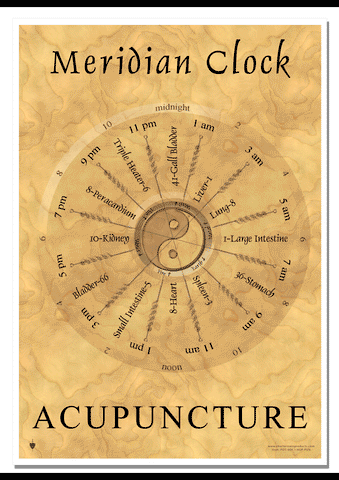 Meridian Clock (Acupuncture) Poster