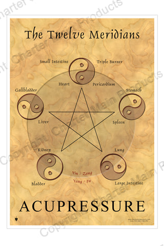 The Twelve Meridians-Acupressure-The Five Elements-Poster