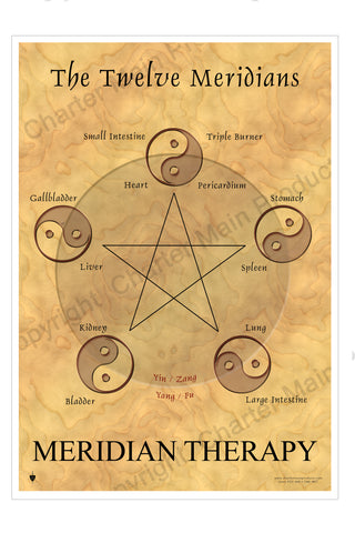 The Twelve Meridians-Meridian Therapy-The Five Elements-Poster