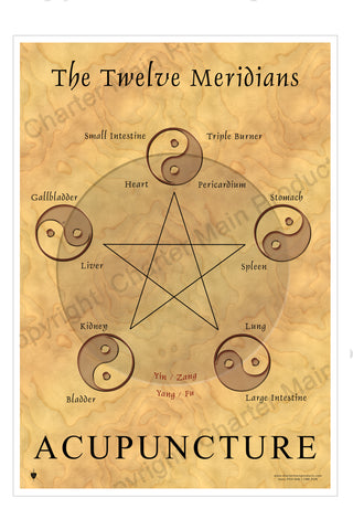 The Twelve Meridians-Acupuncture-The Five Elements-Poster
